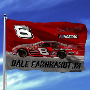 Dale Earnhardt JR Nascar Racing Carpet Living Room Area Rugs Doormats Blanket Flag Home 11 Nascar store - Loyal fans of Dale Earnhardt JR's Rug,Doormat,Blanket Microfiber Fleece,Blanket Premium Sherpa,House Flag:vintage nascar racing suit,uniform,apparel,shirts,merch,hoodie,jackets,shorts,sweatshirt,outfits,clothes