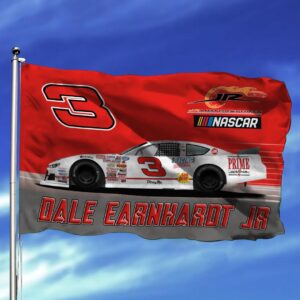 Dale Earnhardt Jr Nascar Racing Carpet Living Room Area Rugs Doormats Blanket Flag Home 11 Nascar store - Loyal fans of Dale Earnhardt Jr's Rug,Doormat,Blanket Microfiber Fleece,Blanket Premium Sherpa,House Flag:vintage nascar racing suit,uniform,apparel,shirts,merch,hoodie,jackets,shorts,sweatshirt,outfits,clothes